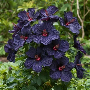 Гибискус Мэджик Момент купить по цене от 699р. в интернет-магазине «Посадика» с доставкой почтой в в Нижний Ломове и по всей России – [изображение №1].