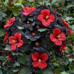 Гибискус Шиммеринг купить по цене от 720р. в интернет-магазине «Посадика» с доставкой почтой в в Нижний Ломове и по всей России – [изображение №1].